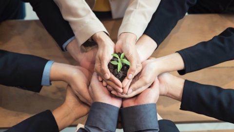 Démarche RSE environnement