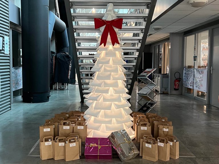 Sapin et calendrier de l'avent VITABRI